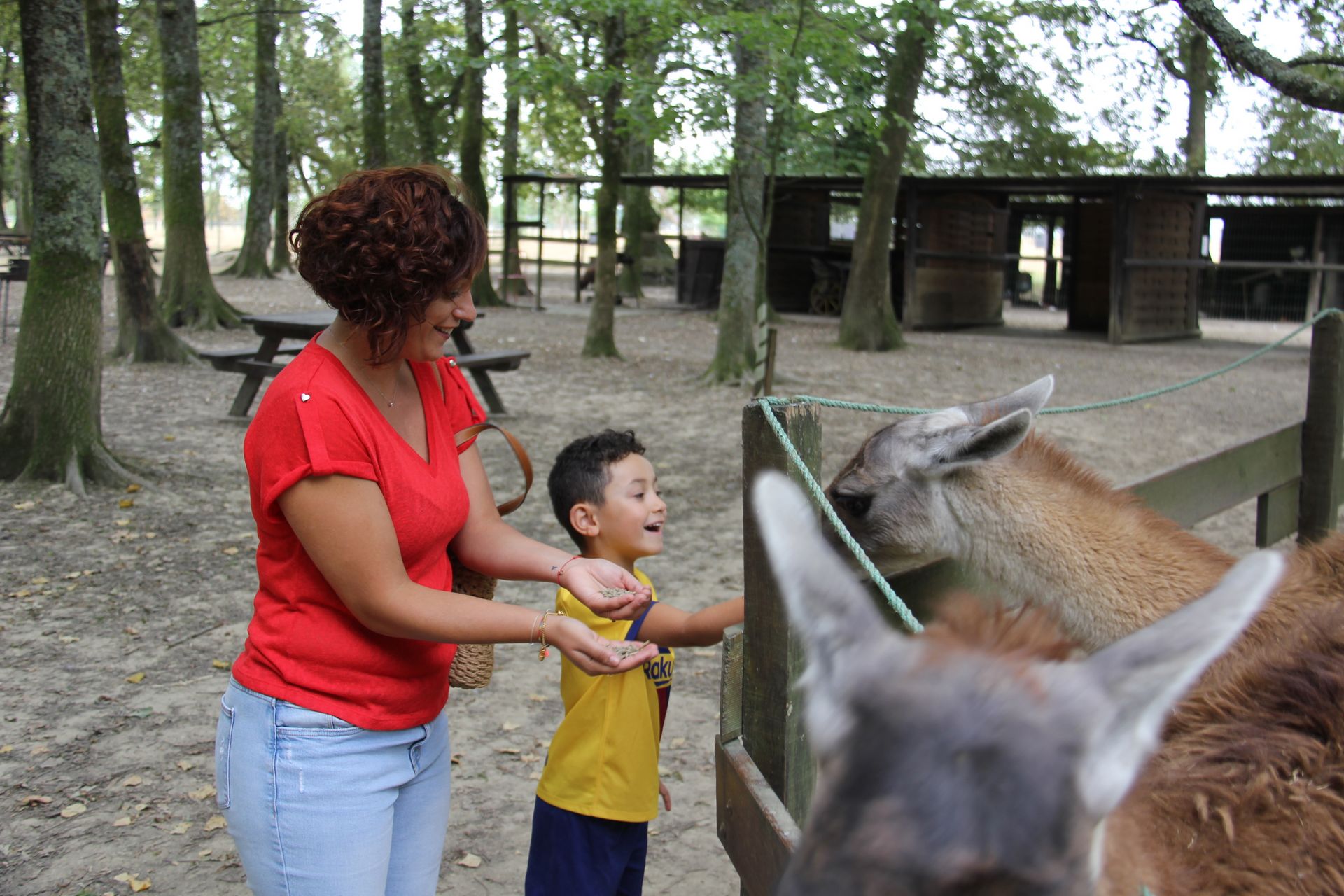 La Pêcherie d’Aurit, Hagetaubin - photo 7