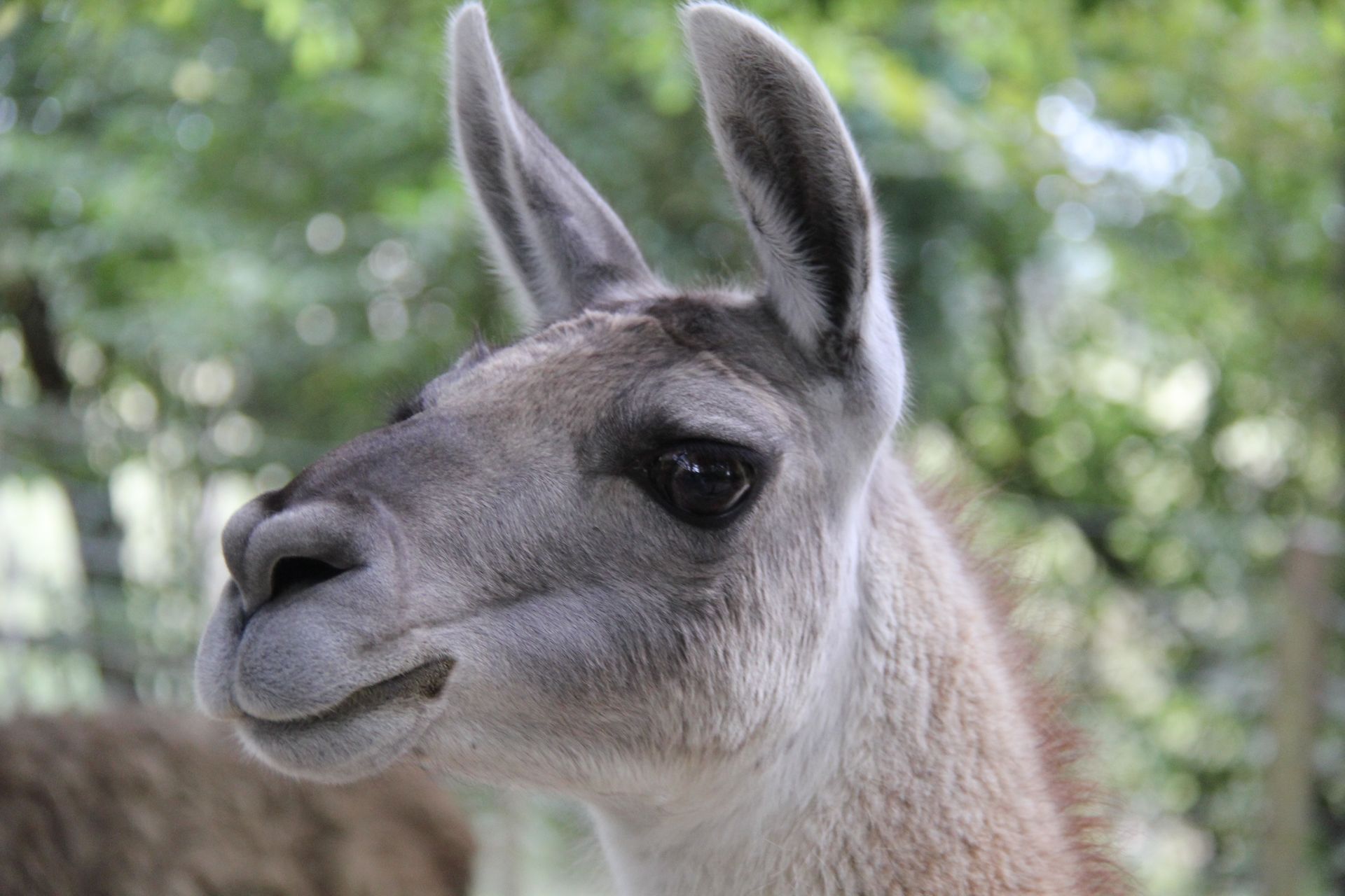 La Pêcherie d’Aurit