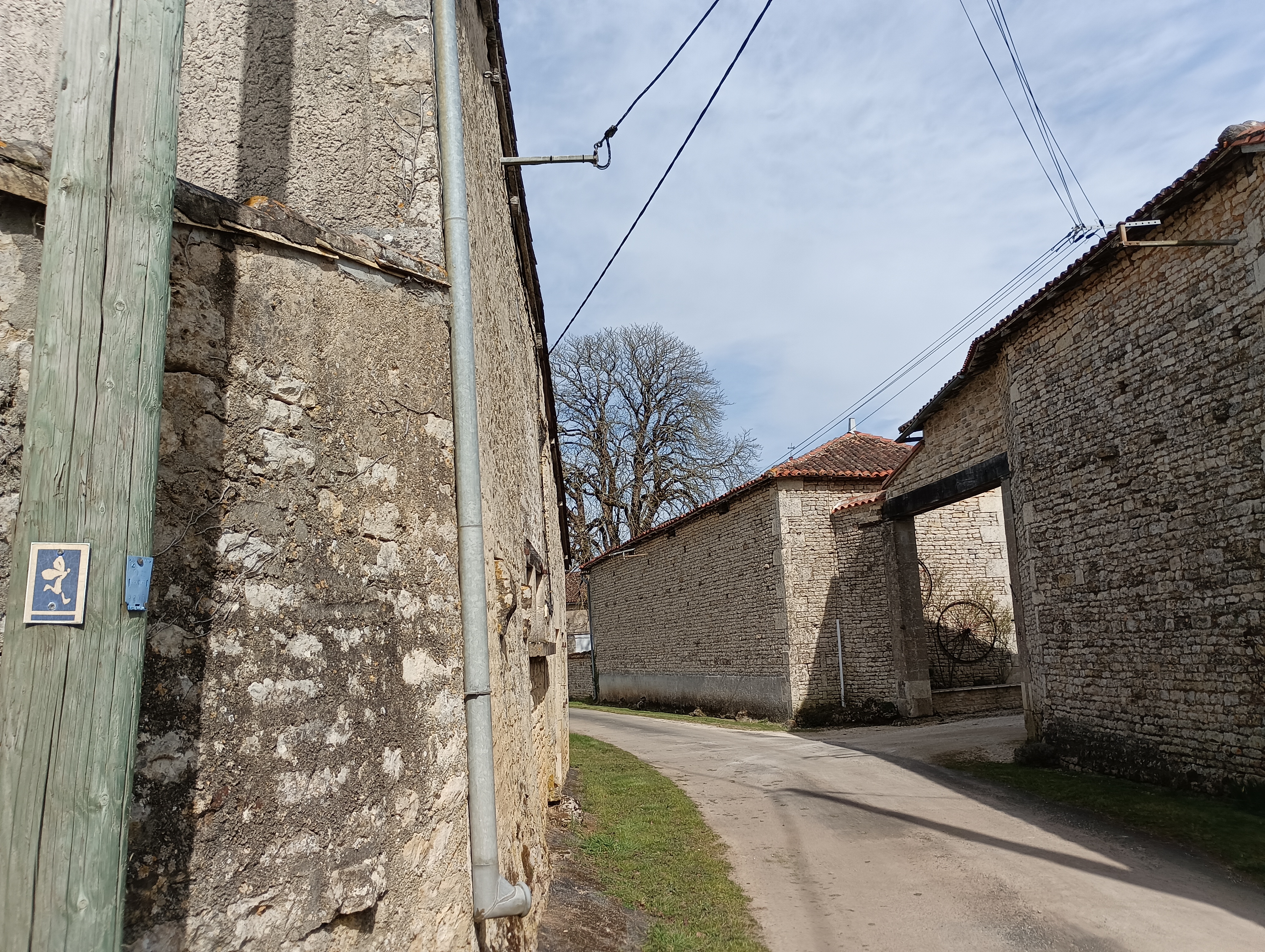 La balade de la châtagne - Pioussay, Valdelaume - photo 3