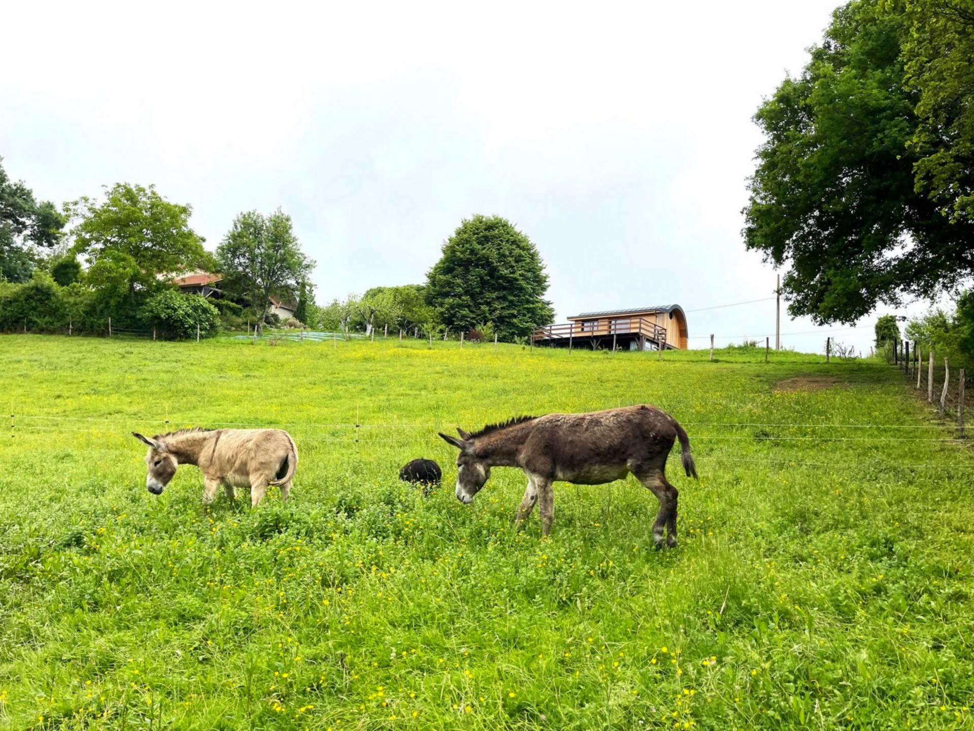 Cabane La Pocquita, Salles-Mongiscard - photo 3