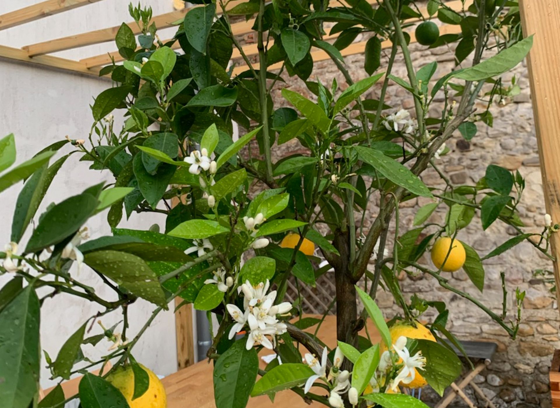 La Poésie, Lagor - photo 3