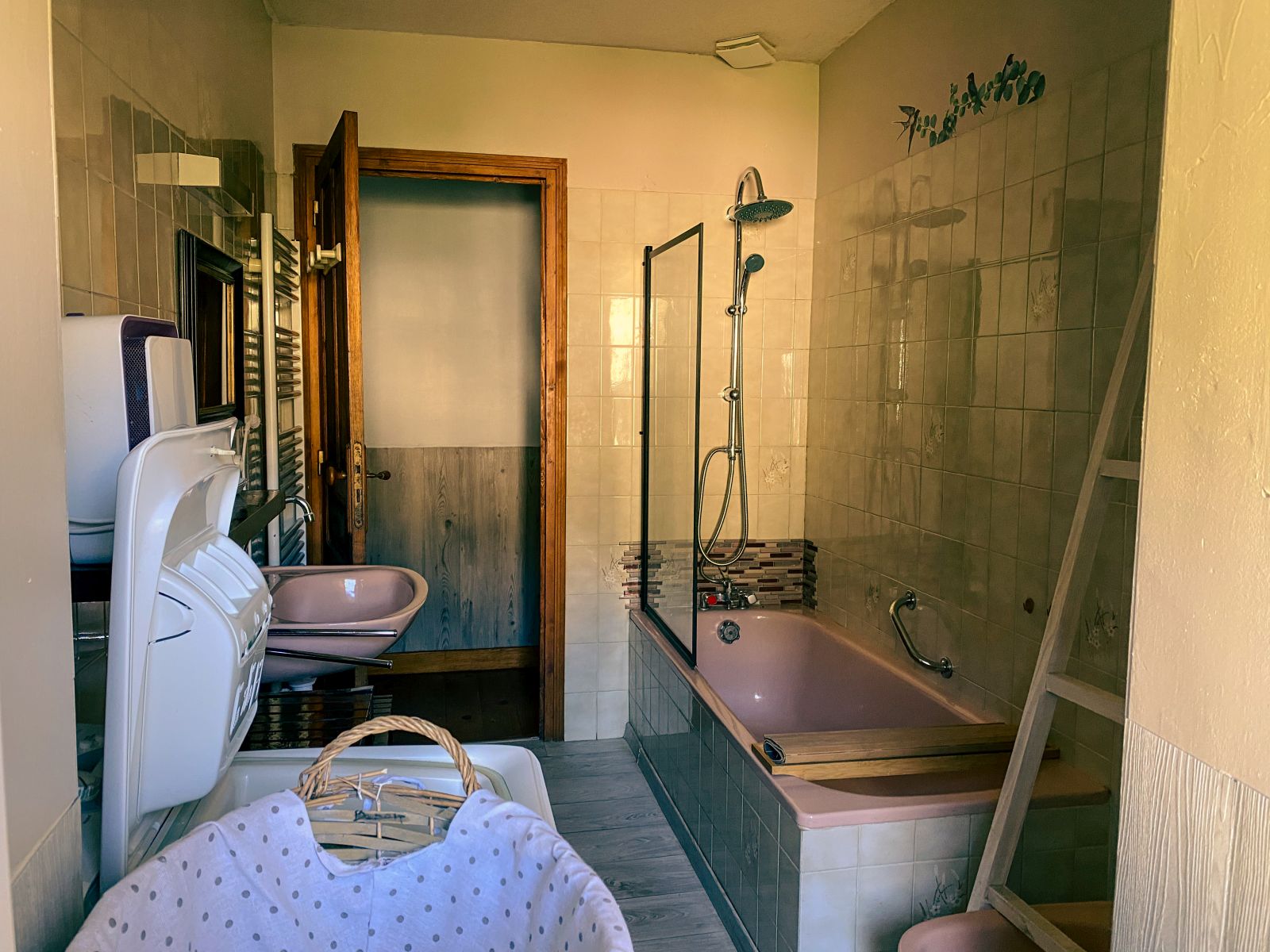 La Pondique, Escot - photo 10