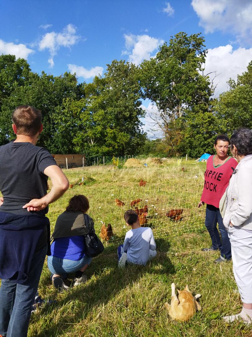 Accueil à la Ferme : Moulin à Huile de Noix , Potager et poules pondeuses dans le Ribéracois — visuel événement