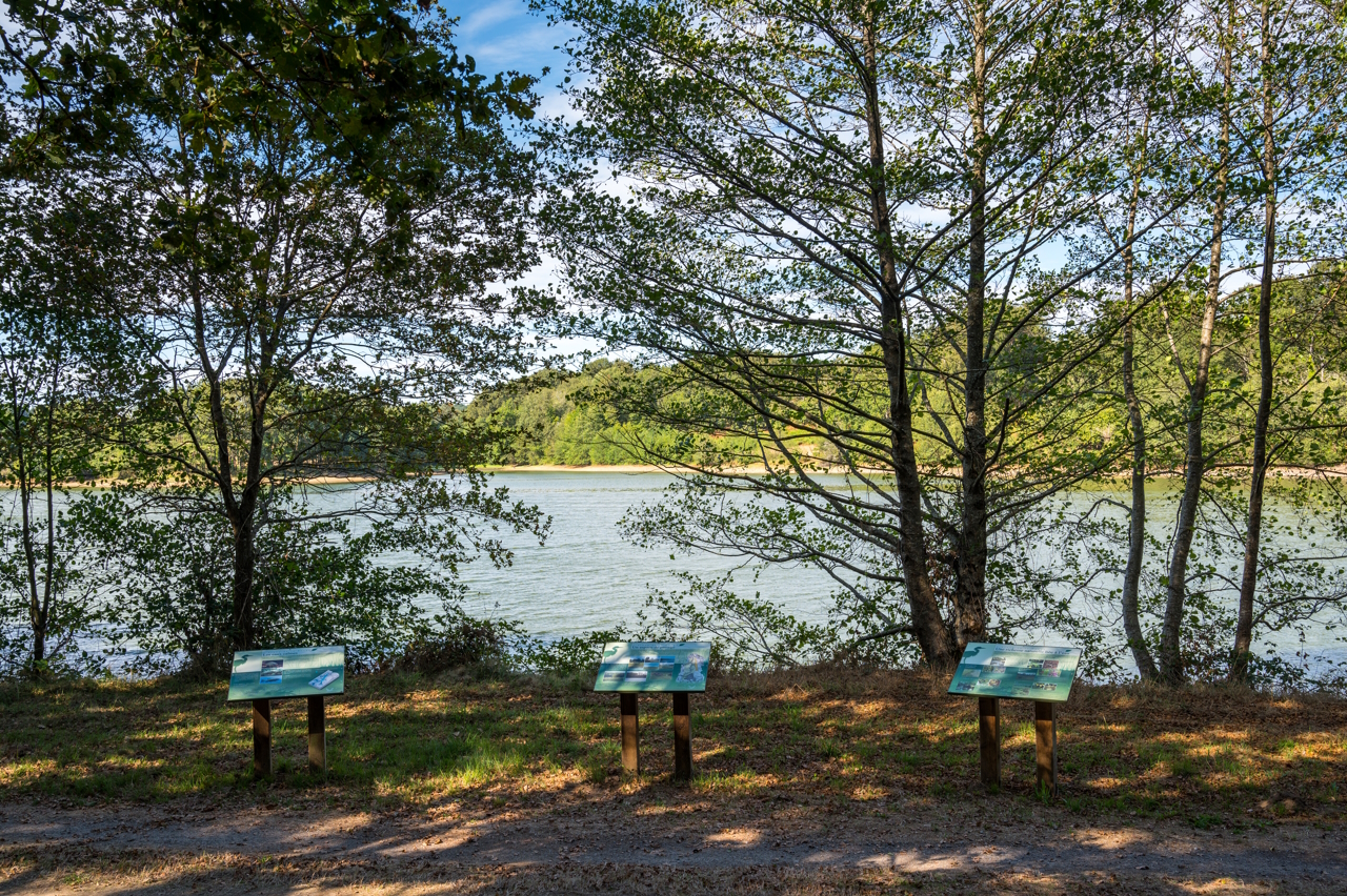 Pêche à l'étang de la Pouge, Saint-Auvent - photo 5