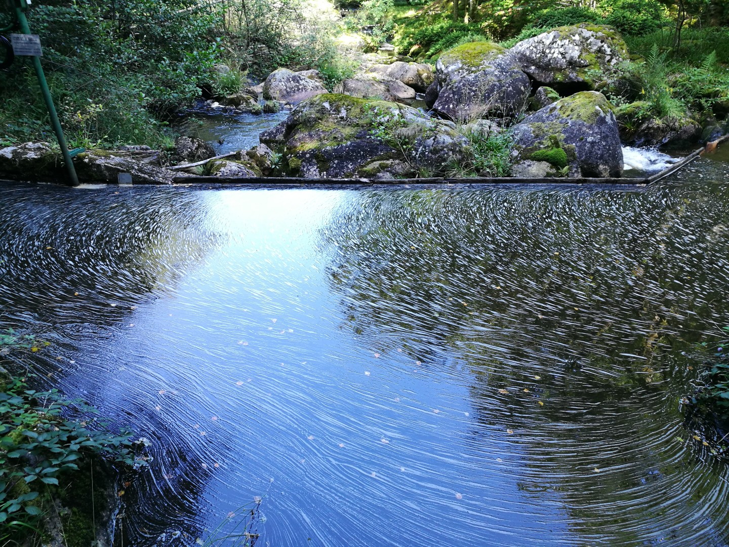 Circuit Pédestre N°21 CC : "Sentier de découverte de la Rigole du Diable", Le Monteil-au-Vicomte - photo 6