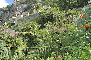 Jardin exotique de La Roque Gageac, La Roque-Gageac - photo 5