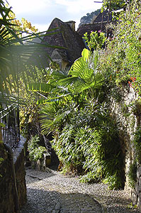 Jardin exotique de La Roque Gageac, La Roque-Gageac