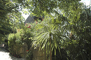 Jardin exotique de La Roque Gageac, La Roque-Gageac - photo 9