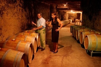 Caves du Manoir - Maison Galhaud, Saint-Émilion - photo 5