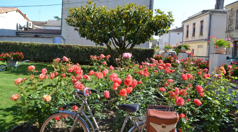 La Roseraie - photo 5