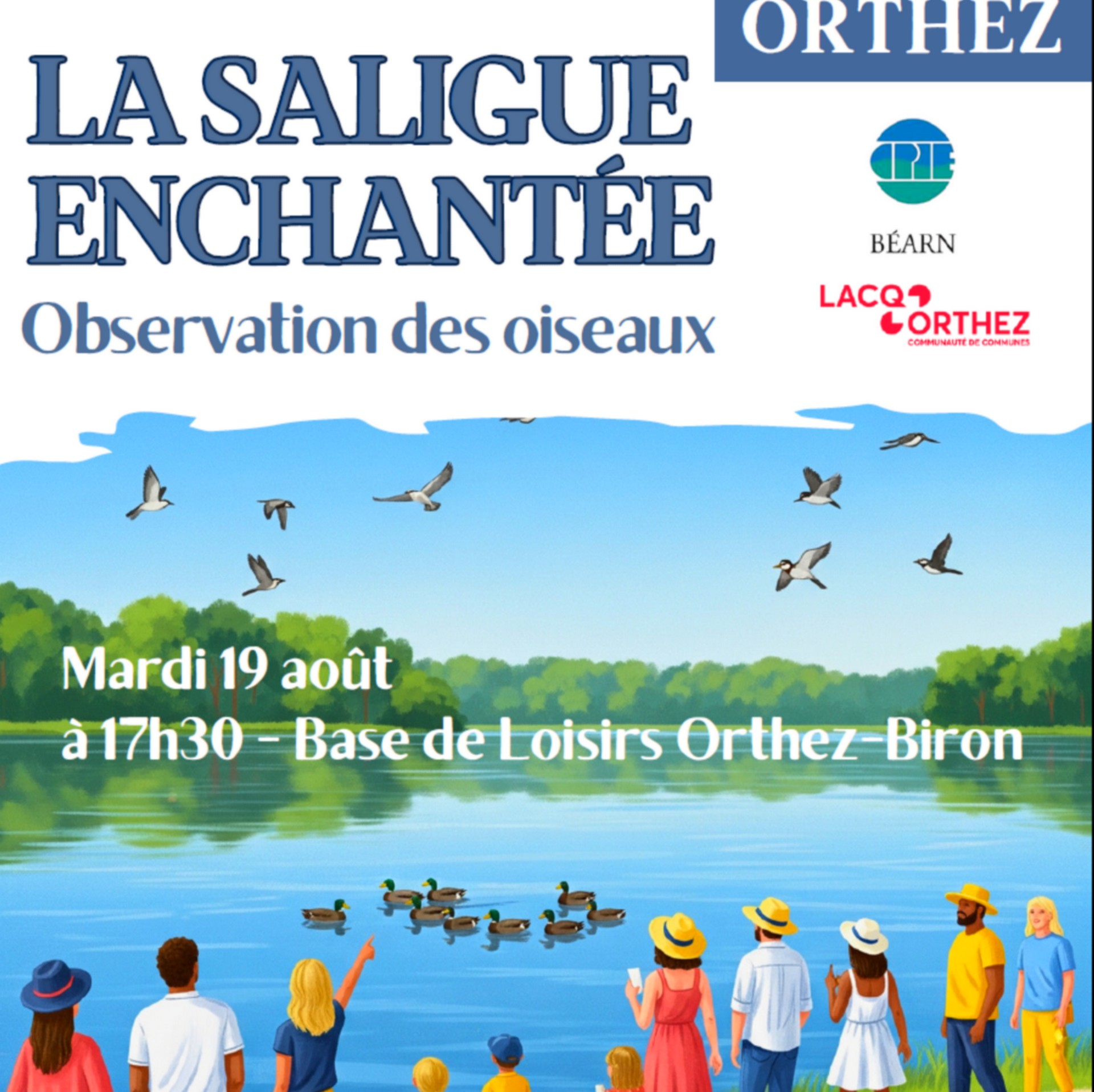 Sortie CPIE : La Saligue aux oiseaux, Biron - photo 2