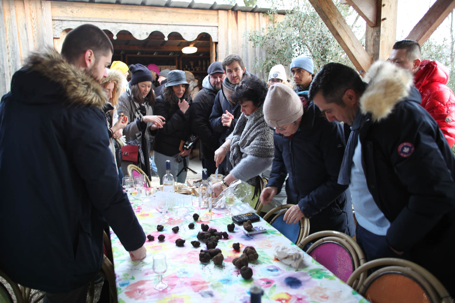 La Sauca Vielha - photo 4