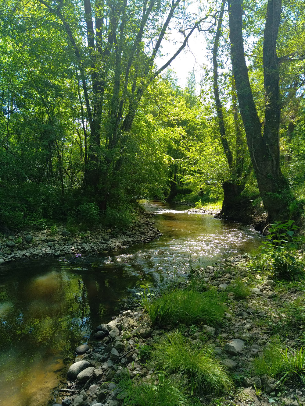 Boucle des Templiers, Galgon - photo 6