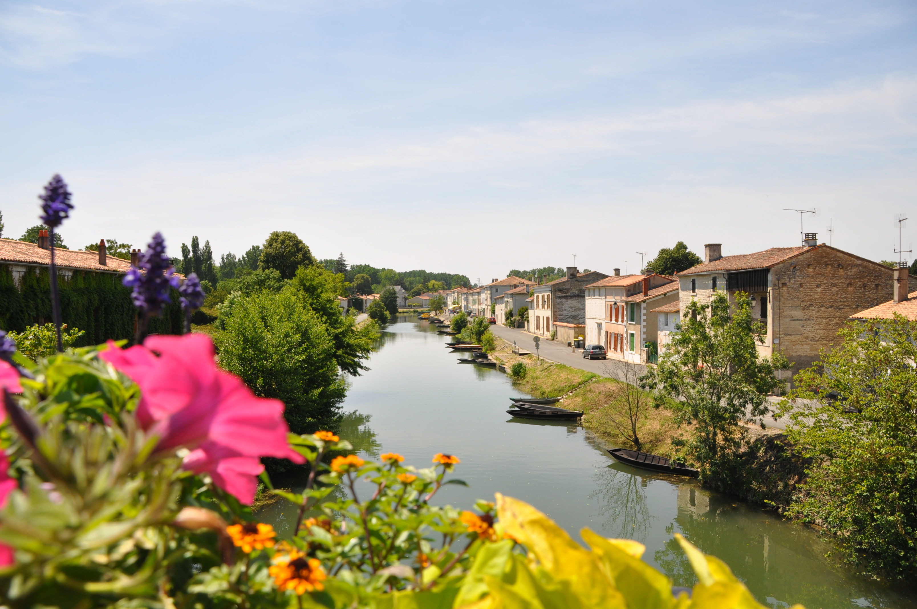 L'ange du marais, Coulon - photo 2
