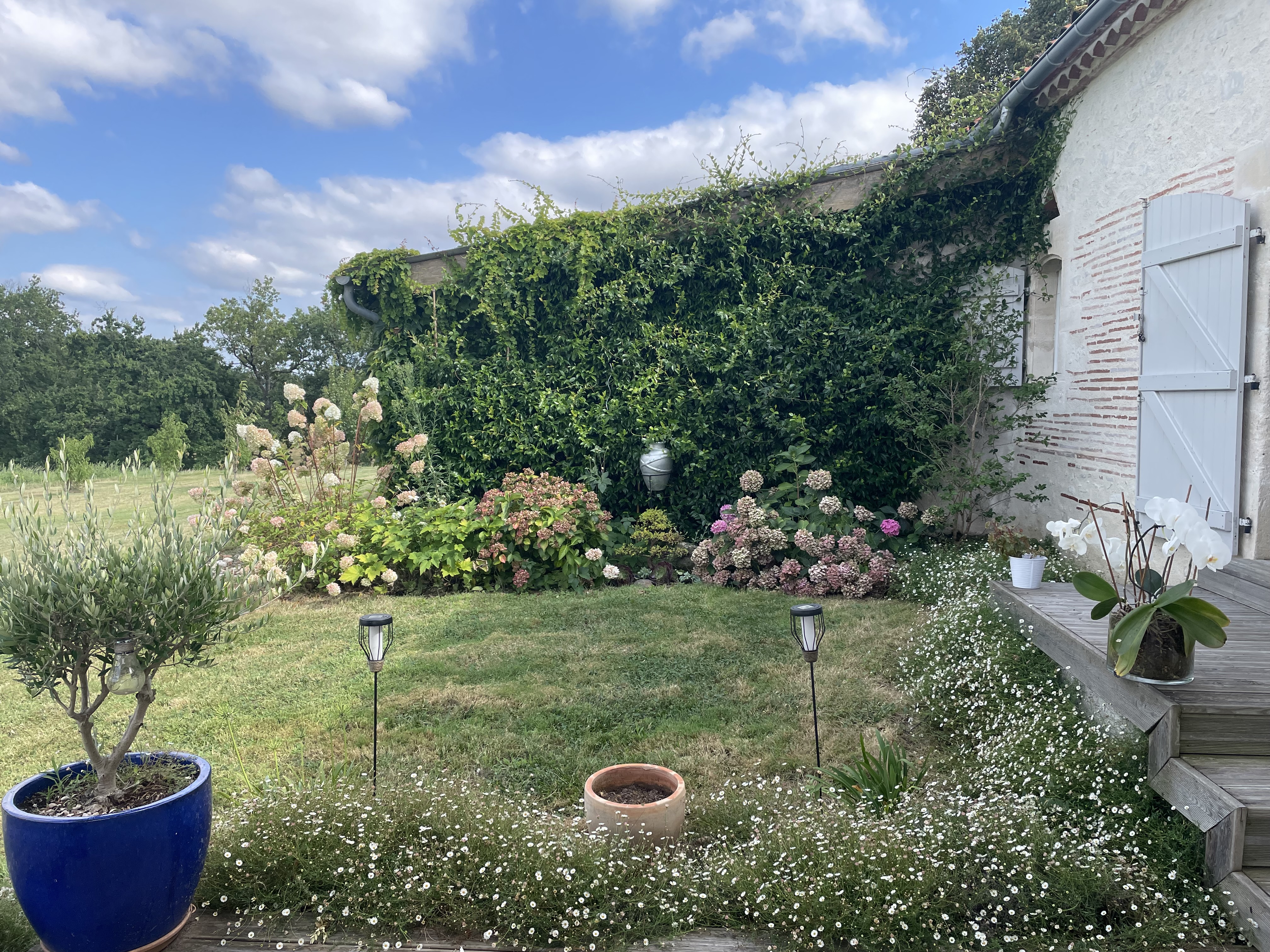 La Stalla de Lagalope, Pinel-Hauterive - photo 5