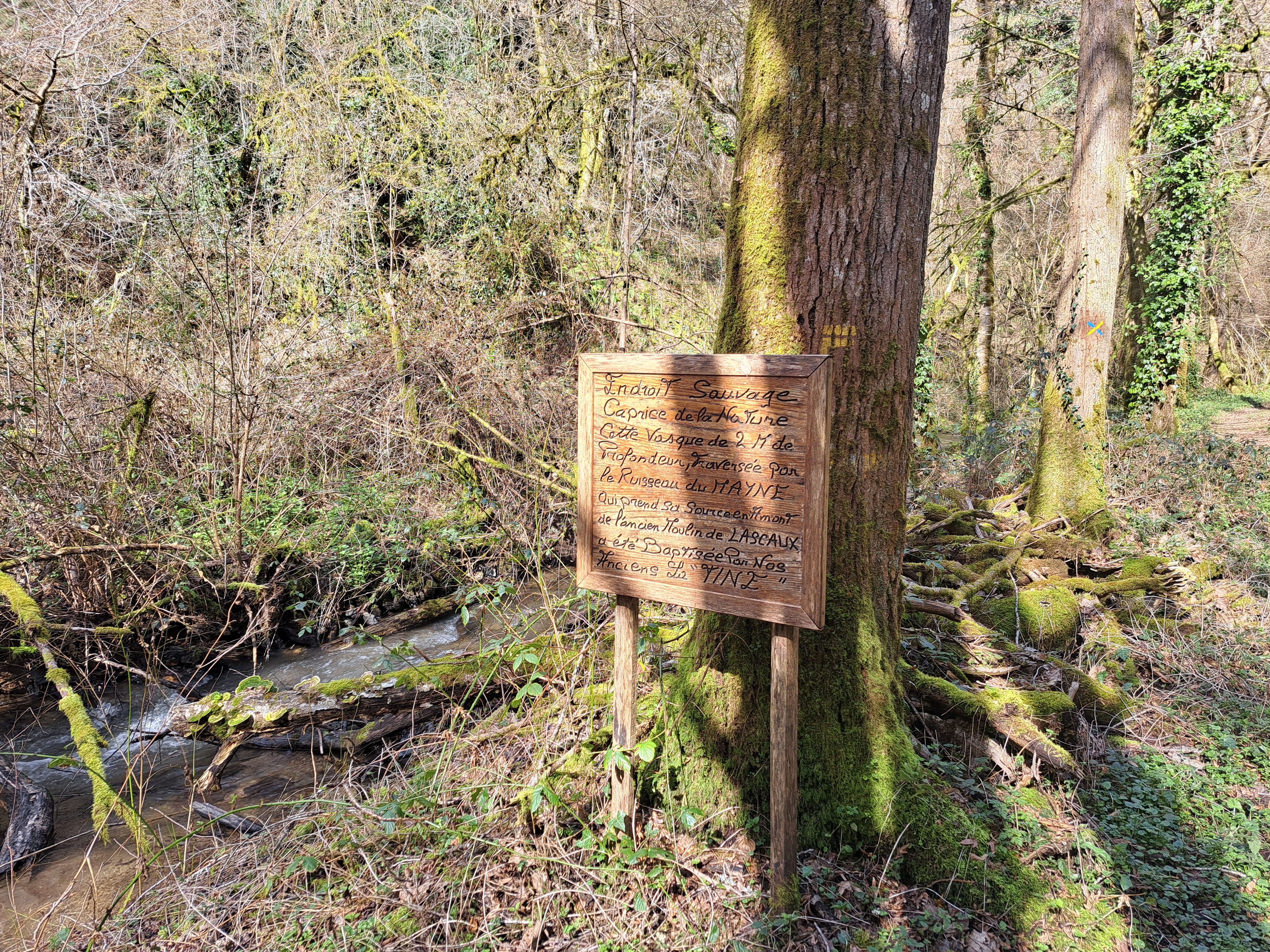 Cascade de la Tine - Concèze