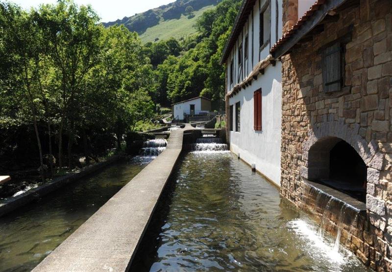 Truite de Banka