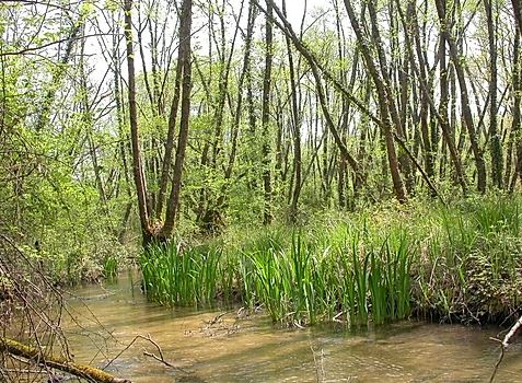 La Vallée de l'Ourbise