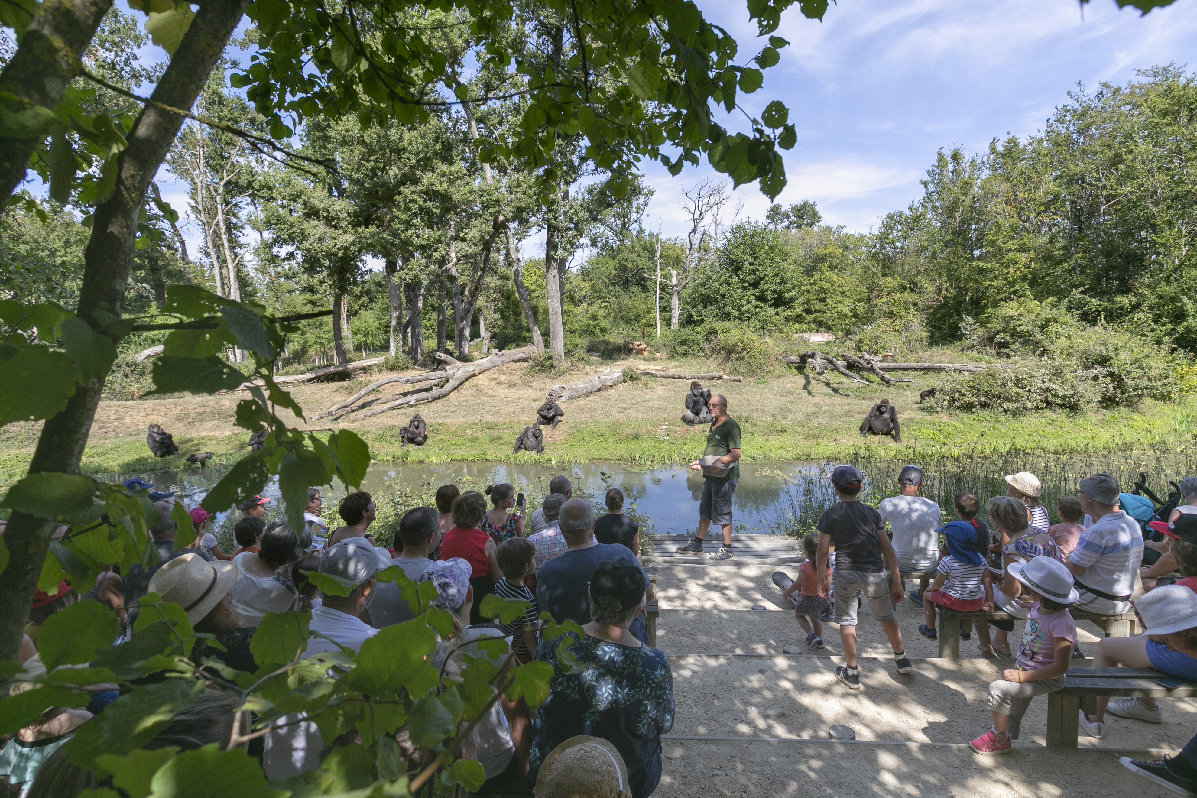 La Vallée des Singes, Romagne - photo 6