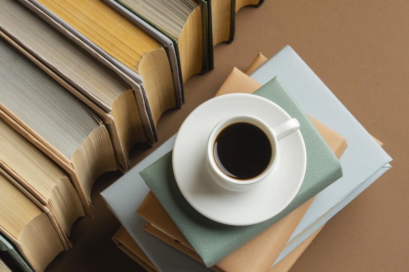 La bibliothèque au village-retraite
