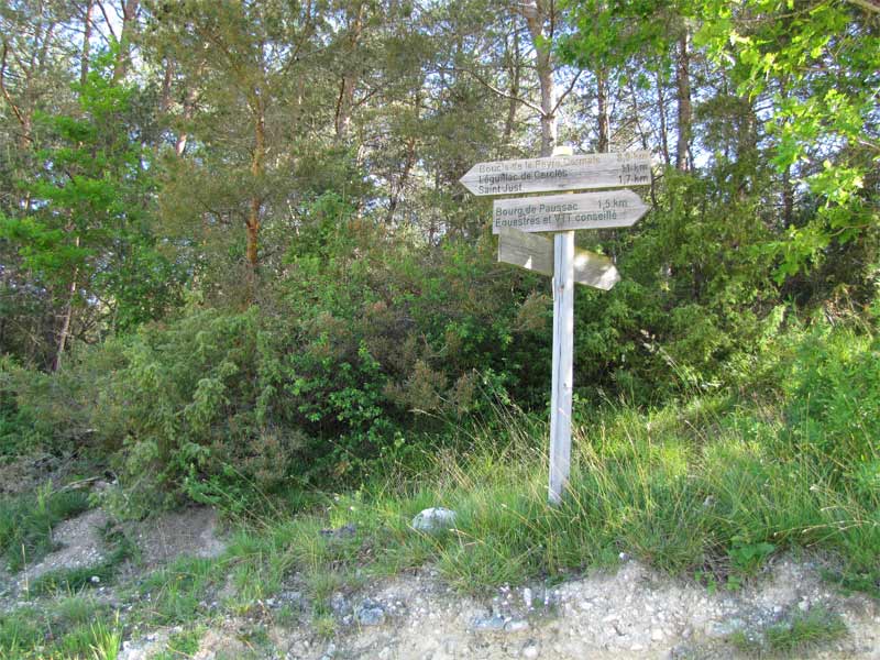 Les Pelouses sèches, Paussac-et-Saint-Vivien - photo 5