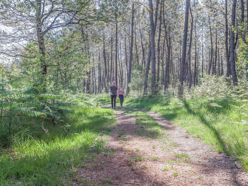 La boucle des pins - photo 2