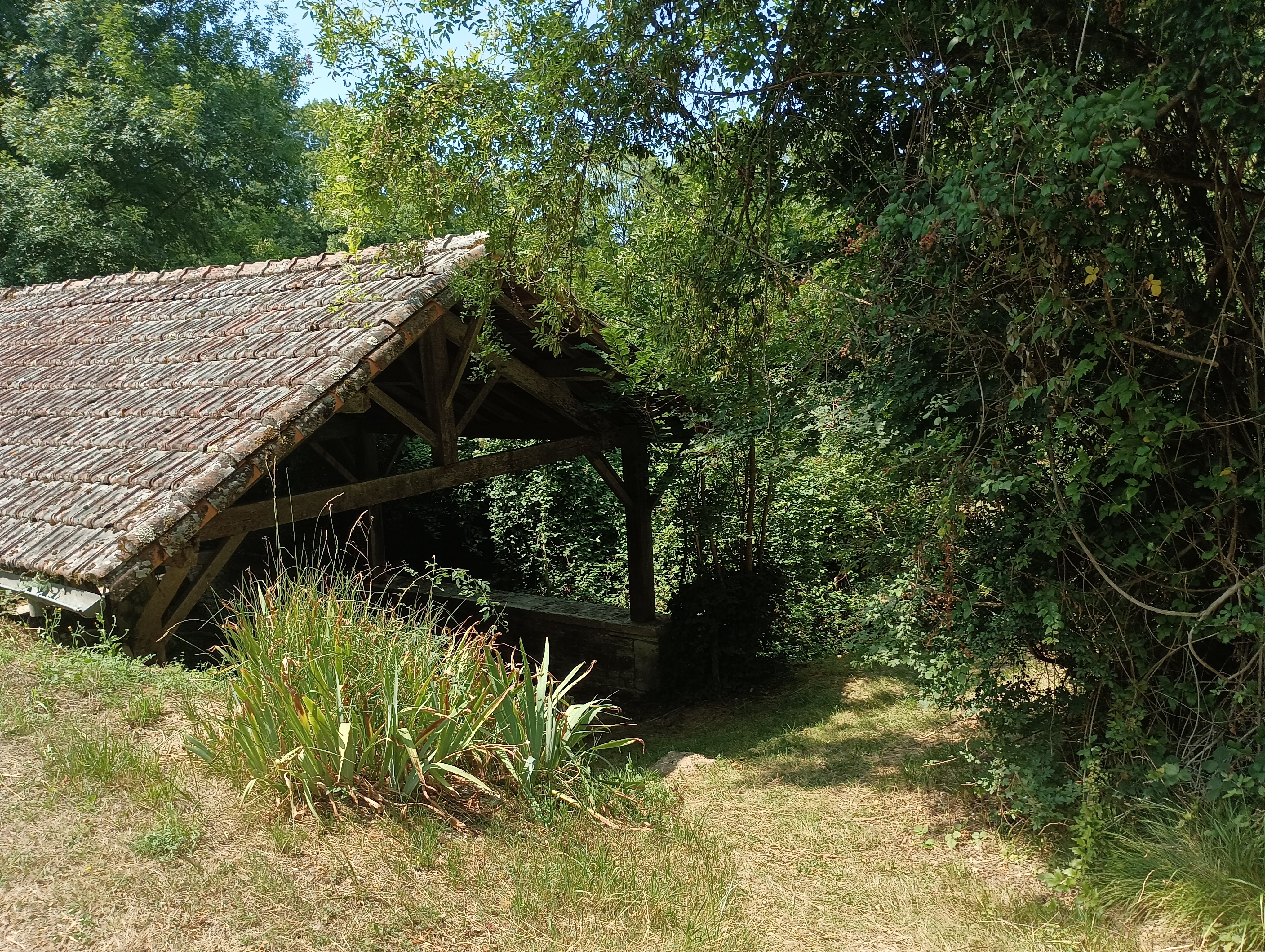 La coulée de la Doue - Crézières, Chef-Boutonne - photo 3