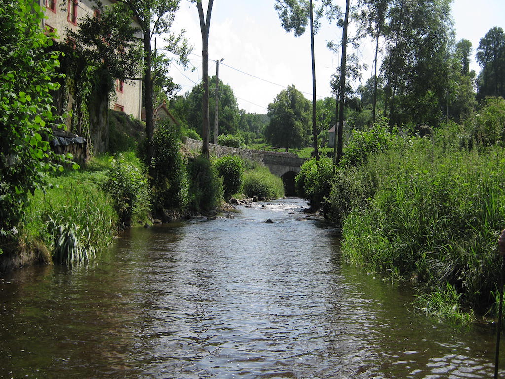 Location "Gîte de Saint-Avit-de-Tardes" - photo 3