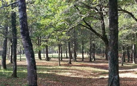 Randonnées à Ustaritz 64 Balade Vtt Vélo Pédestre