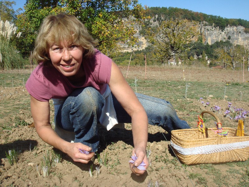 Les Safranelles - photo 2