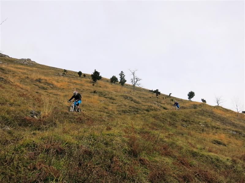 VTT N°39 - Le Layens