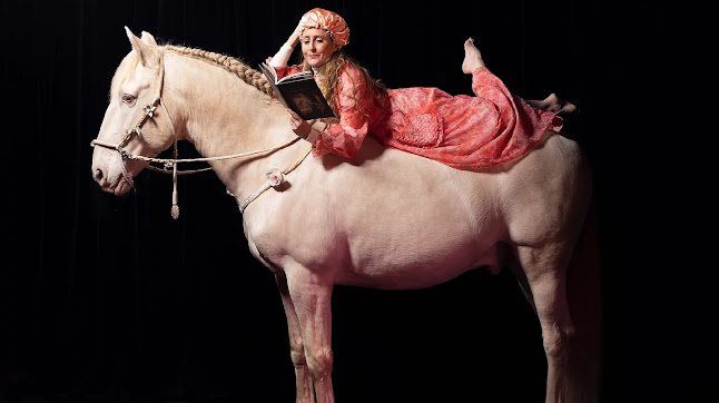 Poster for event Théâtre équestre Hors(e) série - j'en parlerai à mon cheval