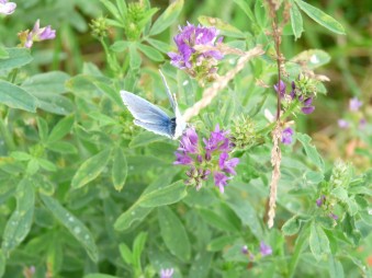 La Ferme des Gourdoux