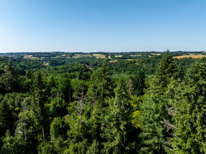 Découvrir le sentier d'interprétation de la forêt de Ligoure