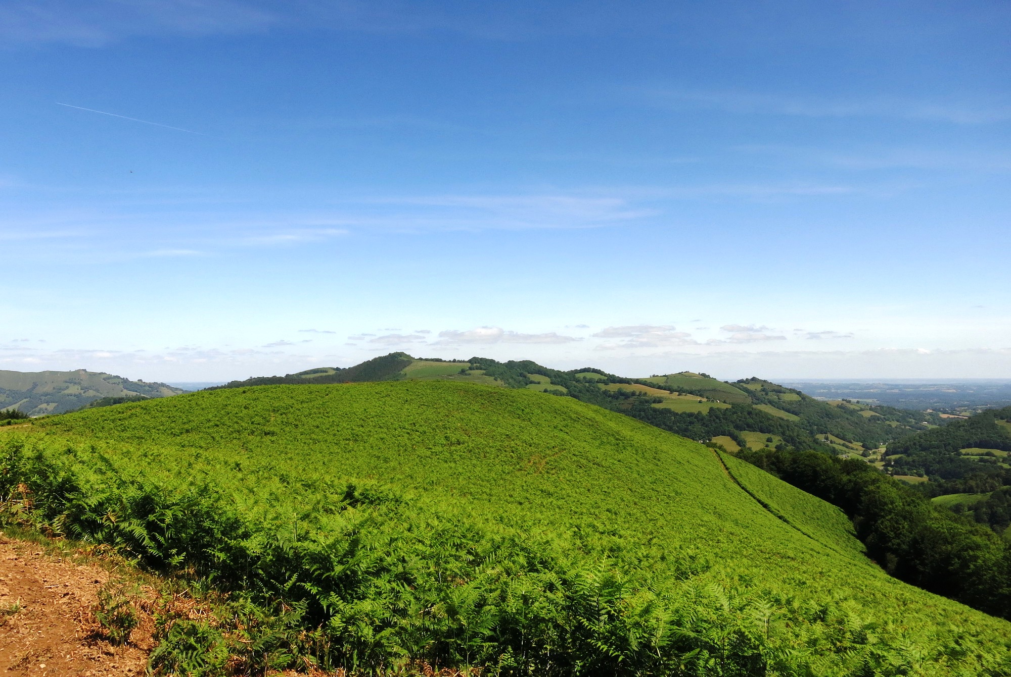 N°7 Barétous - Bois de Gouloume, Aramits - photo 7