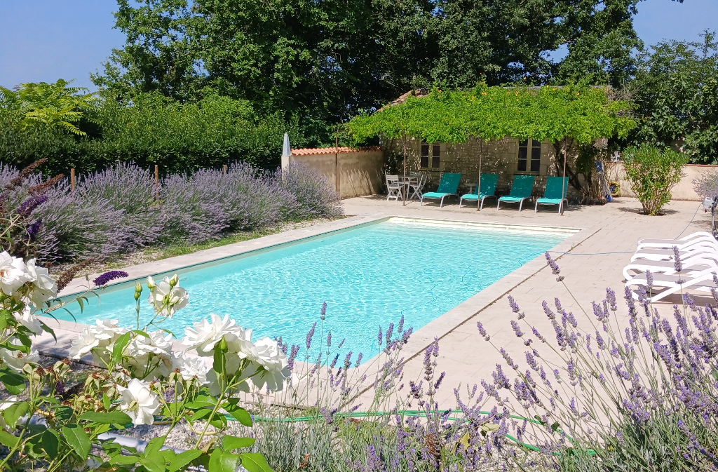 La Maison Forte, Montaut - photo 4