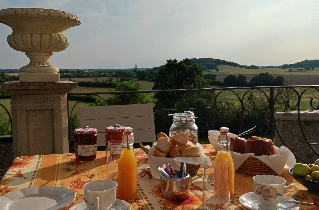 La Maison Forte, Montaut - photo 8