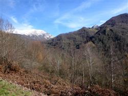 La montagne de ferriere web