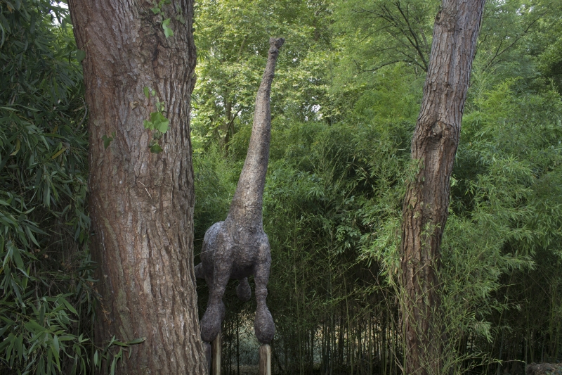  La mule a cinq pattes_4786bisweb 