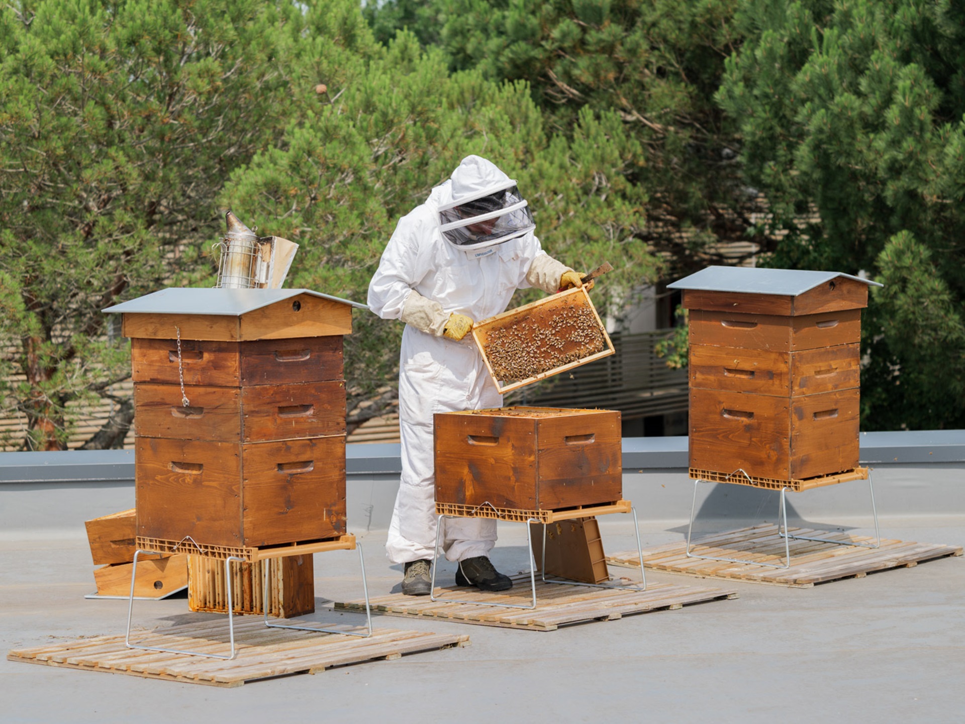 Camping La Rive - photo 3