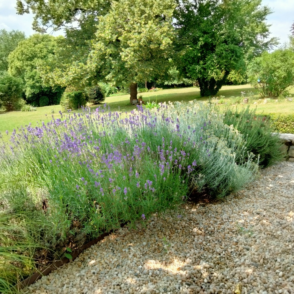 Chambres d'hôtes Clos La Roche Fleurie, Azerat - photo 10
