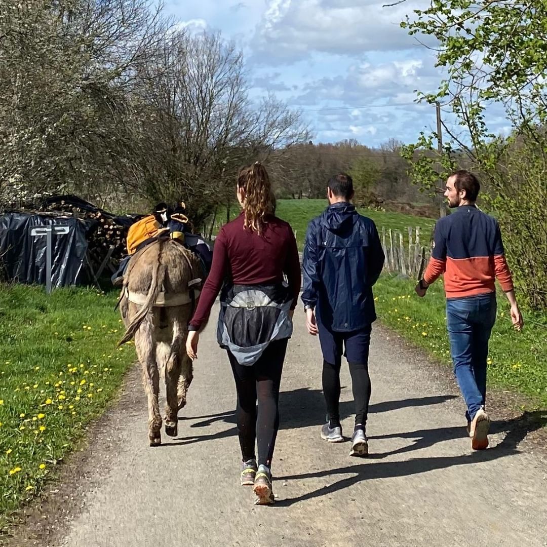 Les ânes voyageurs - photo 3