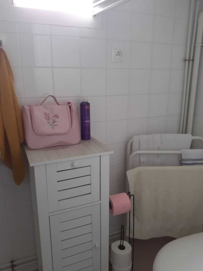 Gîte Louisette ROCHE, Montpon-Ménestérol - photo 21