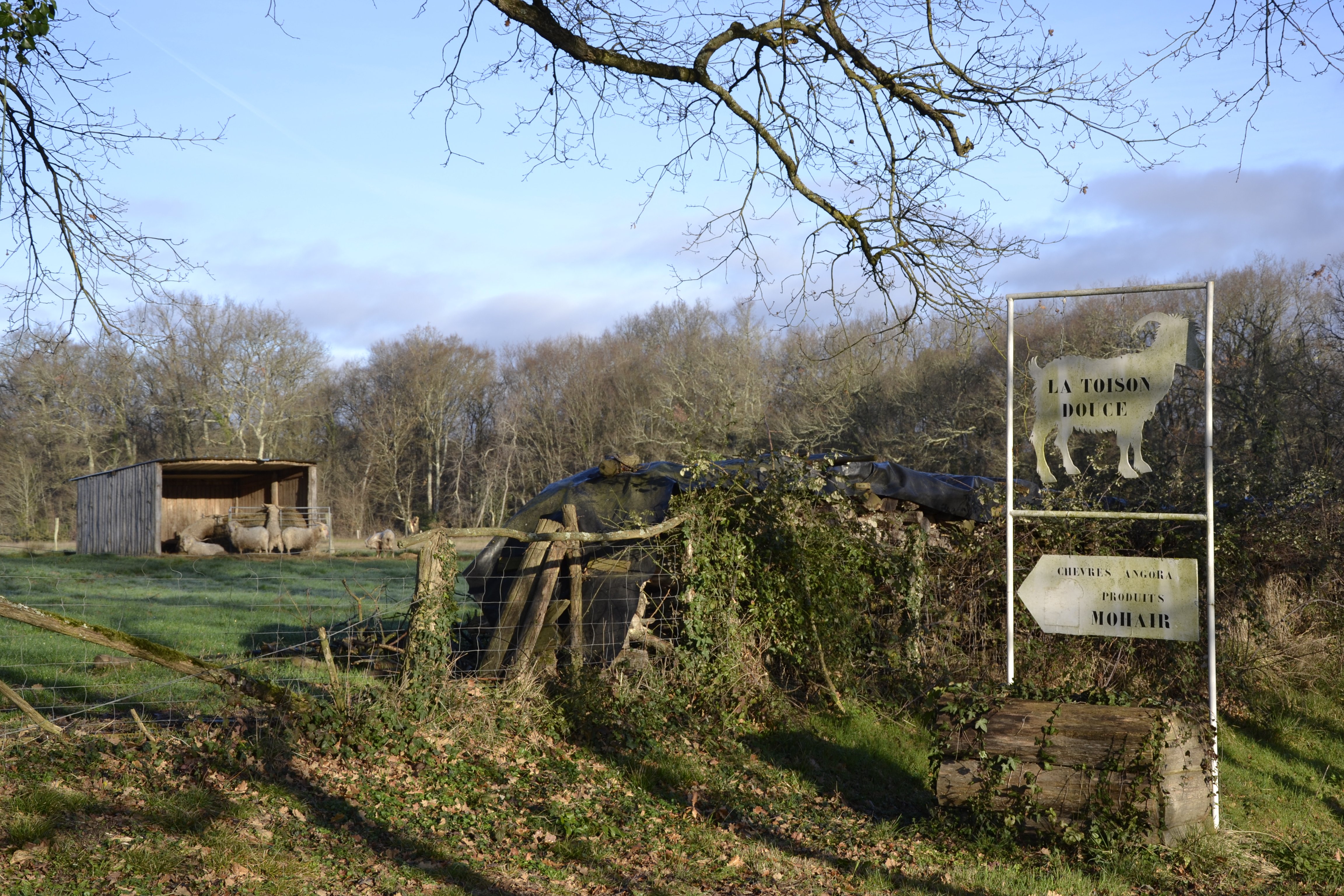 Boucle vélo n°11 Aillas - photo 4