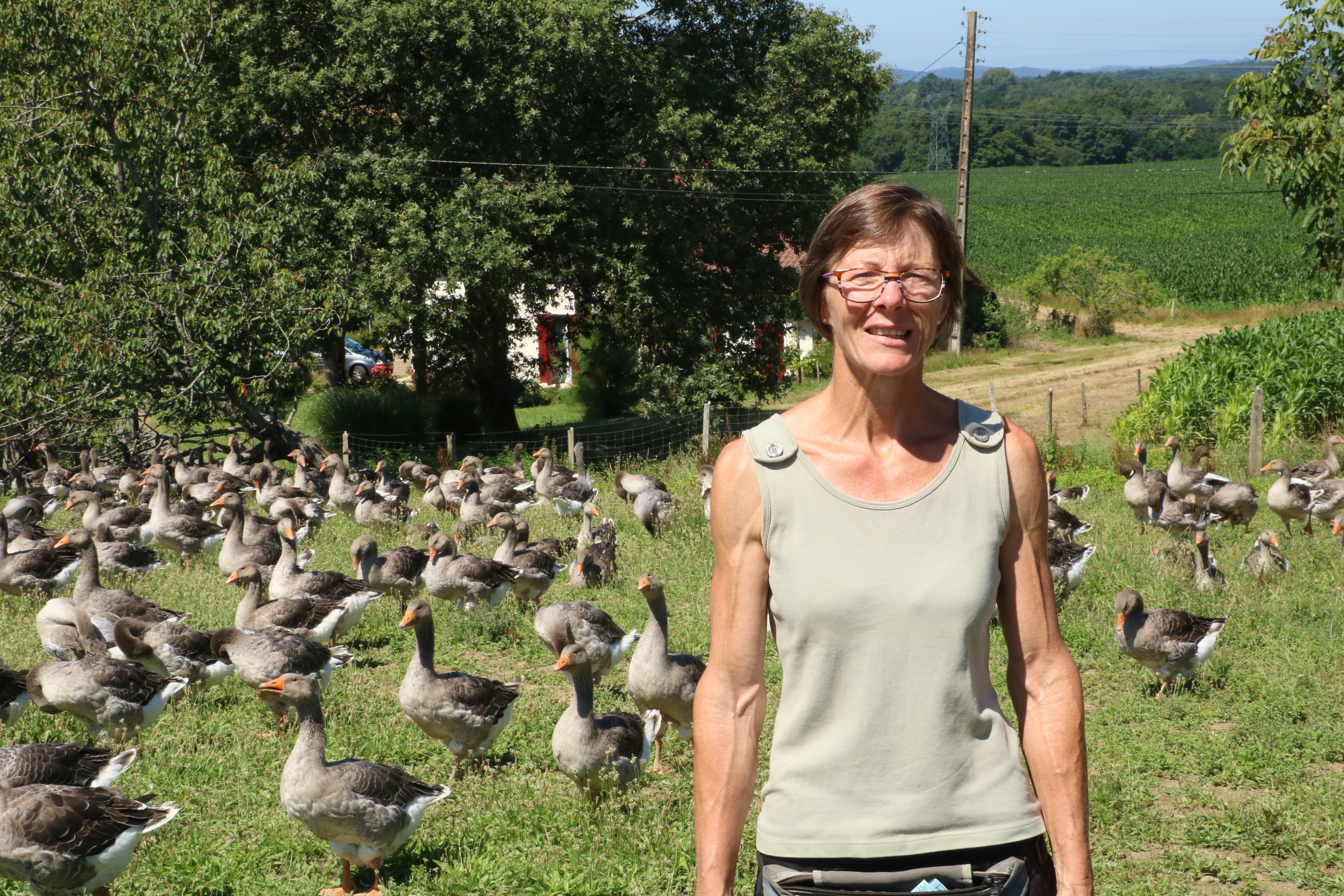 La tradition landaise - photo 5