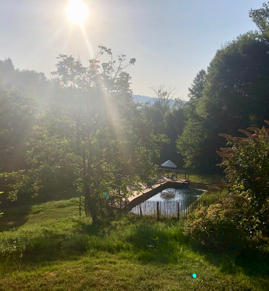 La Chabanaise - Les Hirondelles, Beaulieu-sur-Dordogne - photo 7