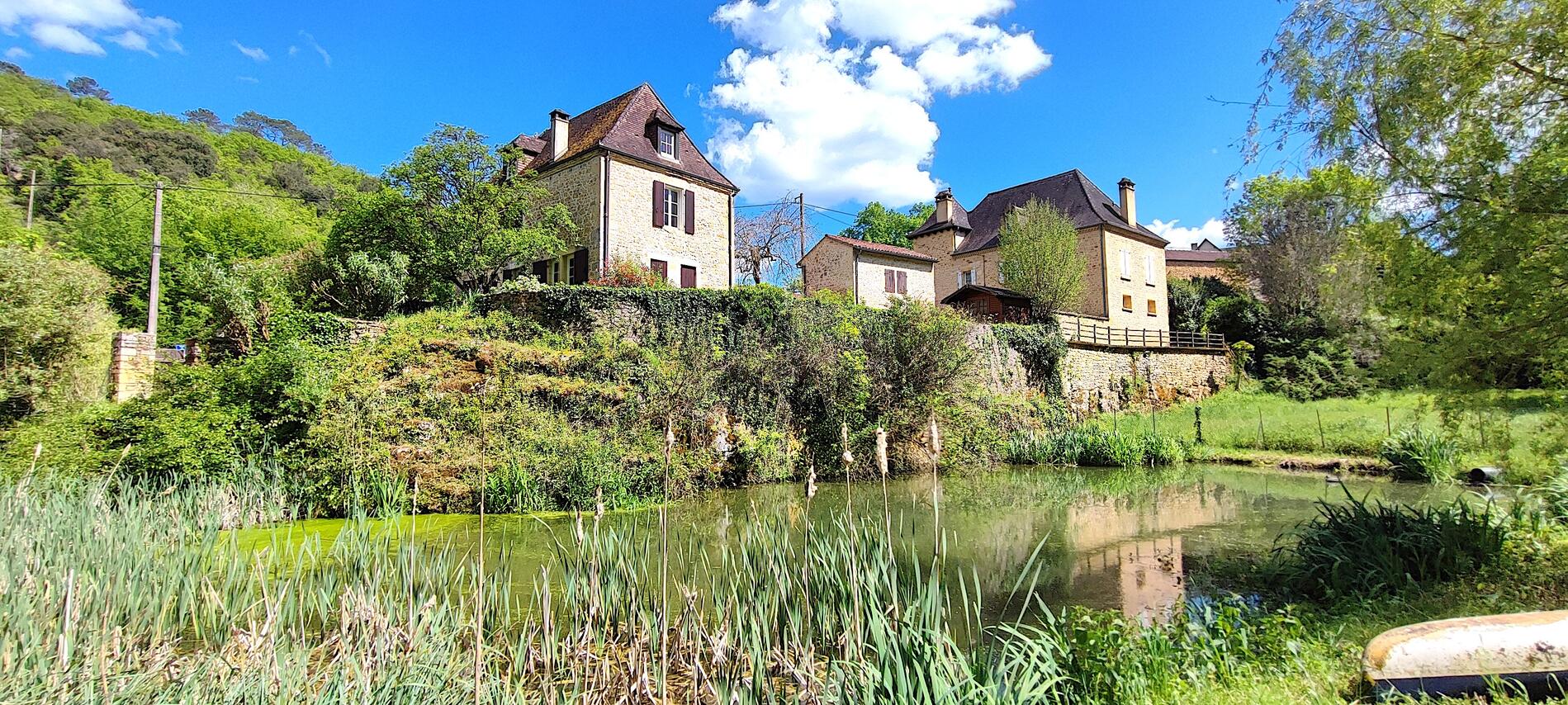 La Mare aux saules