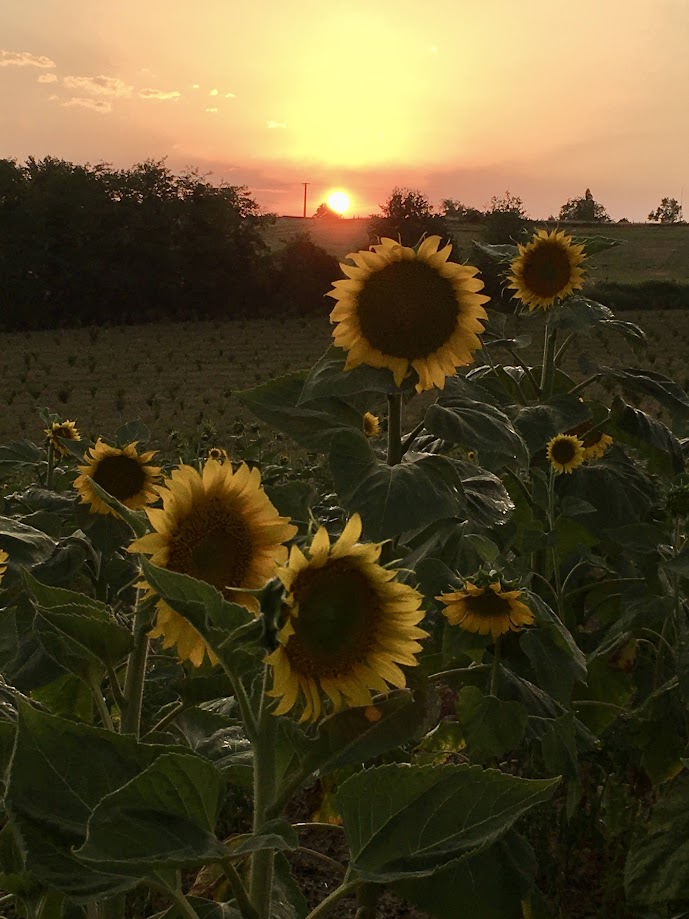 Labarthe, Baleyssagues - photo 30