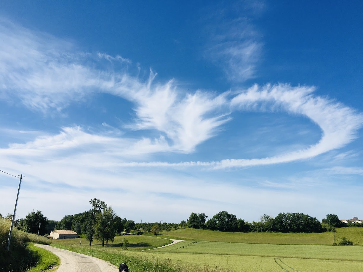 Gîte Labarthe, Baleyssagues - photo 21