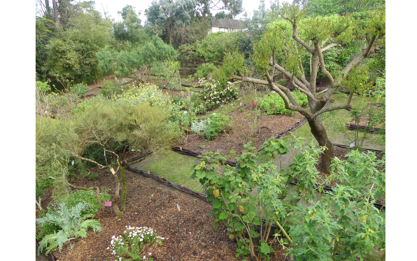 Jardin botanique littoral de Saint-Jean-de-Luz, Saint-Jean-de-Luz - photo 2